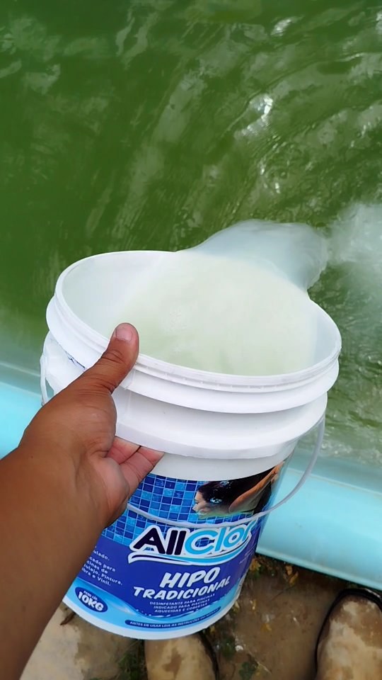 Recuperacao de piscina verde